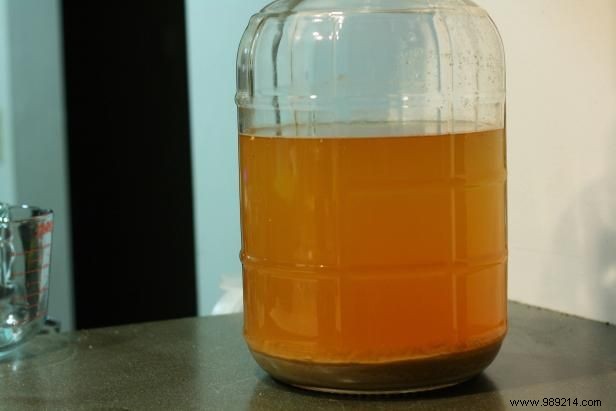 How to Brew Hard Apple Cider at Home: Easy 9-Step Beginner Guide