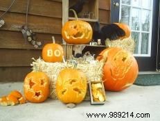 DIY Llama and Cactus Halloween Costumes: Easy Last-Minute Sweatsuit Transformations by Jennifer Perkins