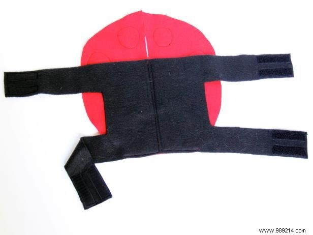 DIY Ladybug Costume for Dogs: Easy Step-by-Step Guide from a Pet Craft Expert