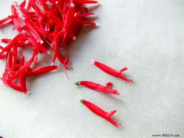 Garden-Fresh Herb Shortbread Cookies: Customizable Sweet and Savory Recipes