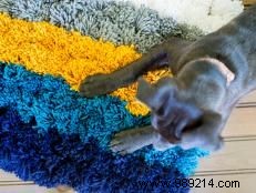 Embrace Wabi-Sabi Beauty: Two Simple DIY Crafts for Your Home