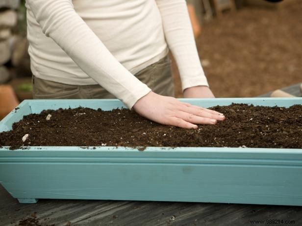 How to Make DIY Seed Tape from Toilet Paper: Easy Gardening Hack