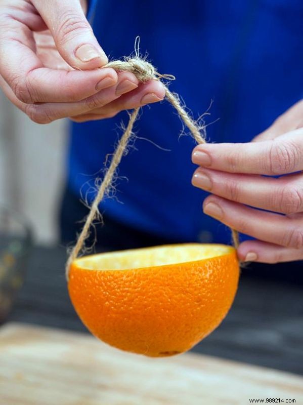 DIY Natural Orange Bird Feeders: Easy Step-by-Step Tutorial