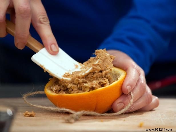 DIY Natural Orange Bird Feeders: Easy Step-by-Step Tutorial