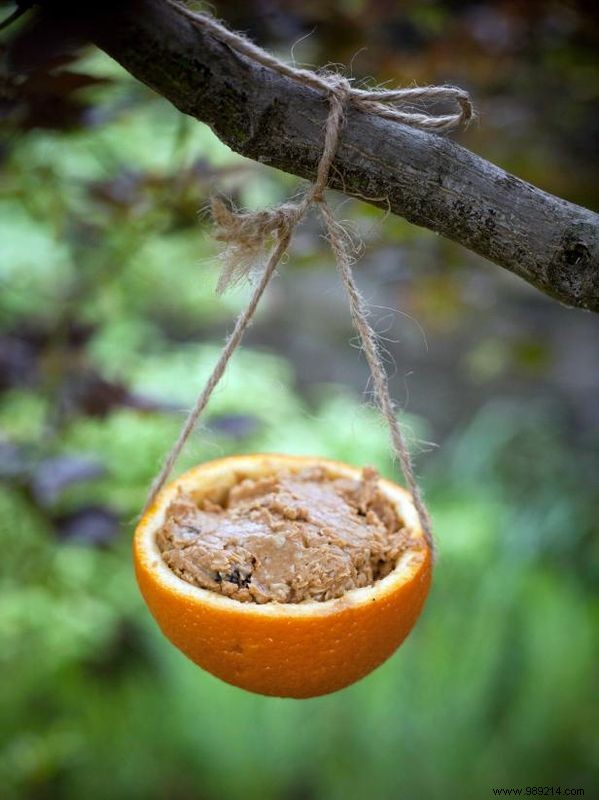 DIY Natural Orange Bird Feeders: Easy Step-by-Step Tutorial