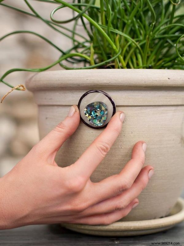 Personalize Your Flower Pots: Fun DIY Faces with Plant  Hair  for Kids