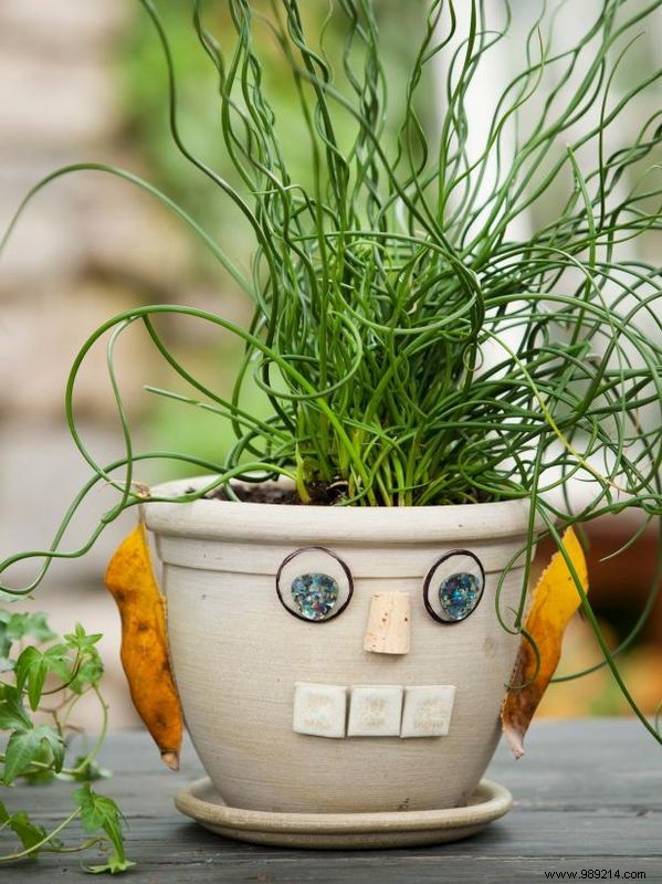 Personalize Your Flower Pots: Fun DIY Faces with Plant  Hair  for Kids