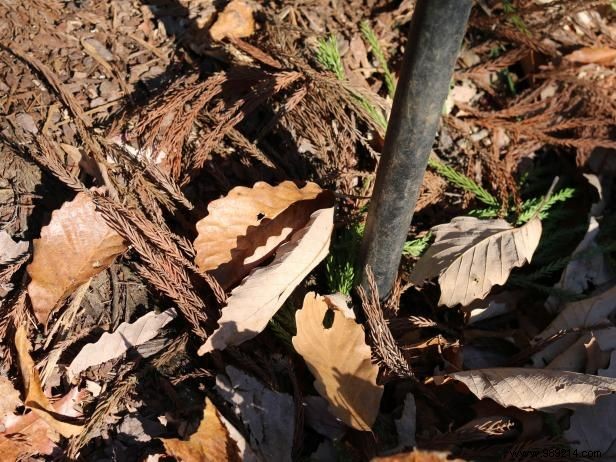 DIY Guide: Transform a Shipping Pallet into Rustic Outdoor Patio Art or Custom Sign